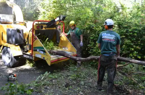 tree services Long Grove